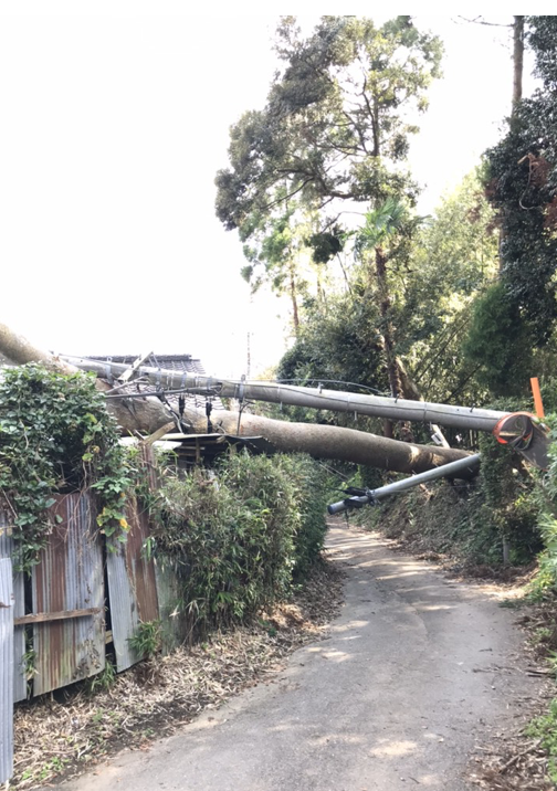 写真）千葉県内の台風被害の様子