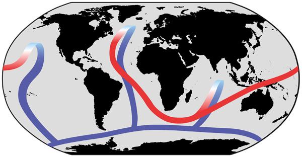 画像）深層海洋大循環模式図