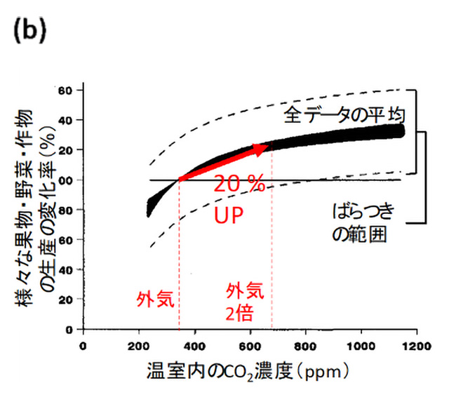 図）温室内で当時の外気CO₂濃度（340 ppm）を2倍増大させた実験から得られた様々な成長量の増減率（Nederhoff, 1994)。ppm：体積割合の100万分の1