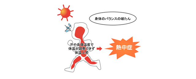 図3：熱中症になった場合の体温調整反応