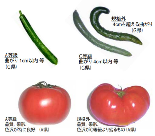 写真）規格外野菜の比較