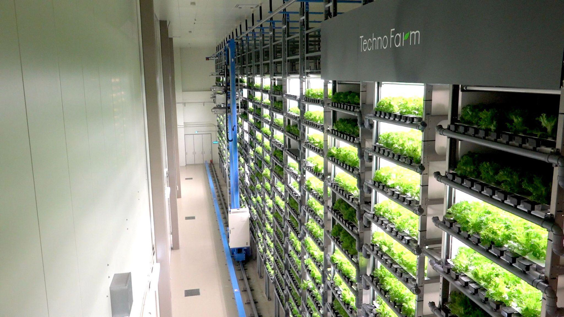 野菜大量生産時代到来　静岡で「植物工場」相次ぎ稼働