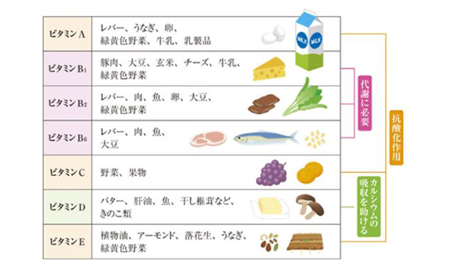 図）ビタミンを多く含む食品
