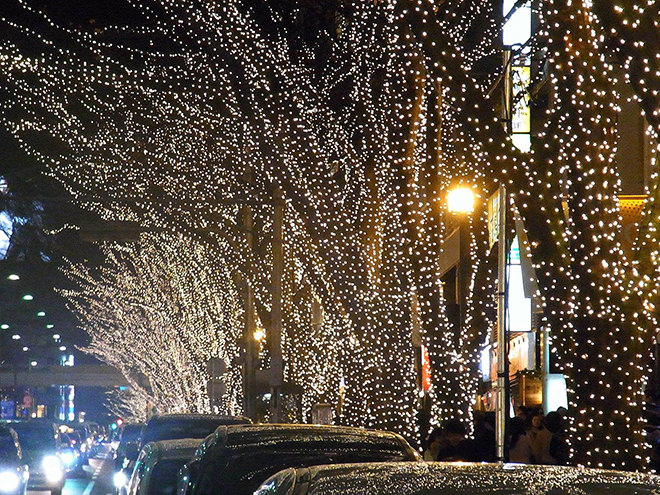 写真）年末恒例イルミネーションに輝く沿道の木々（東京都表参道）