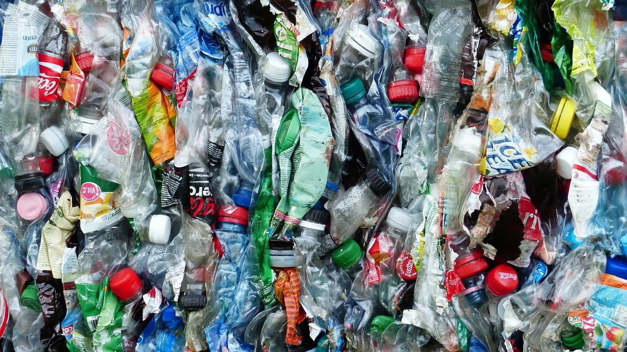 バイオプラスチックは環境問題の救世主？