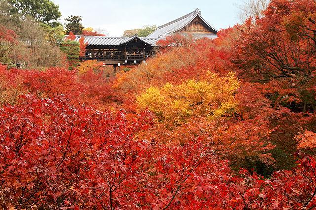 写真）京都東福寺