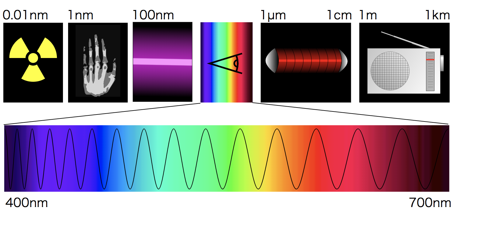図）さまざまな波長の電磁波における可視光線