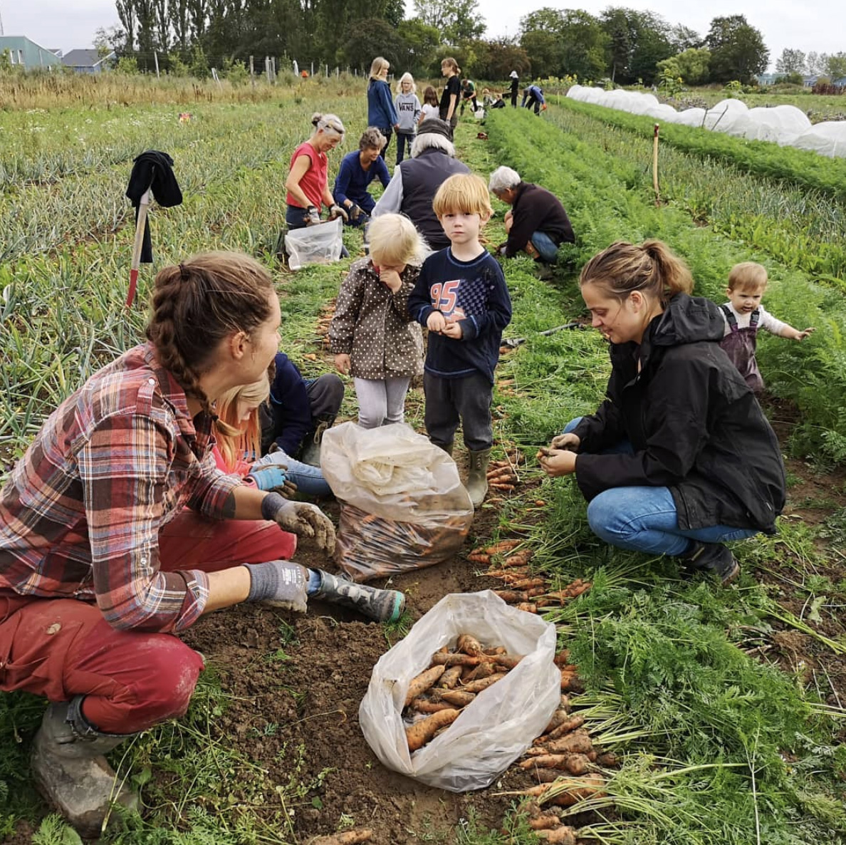 写真）パーマトピアでは子供も大人も一緒に農作業をするのが決まり