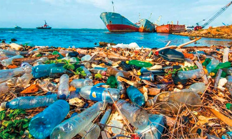 写真）港湾に滞積するプラスチックごみ