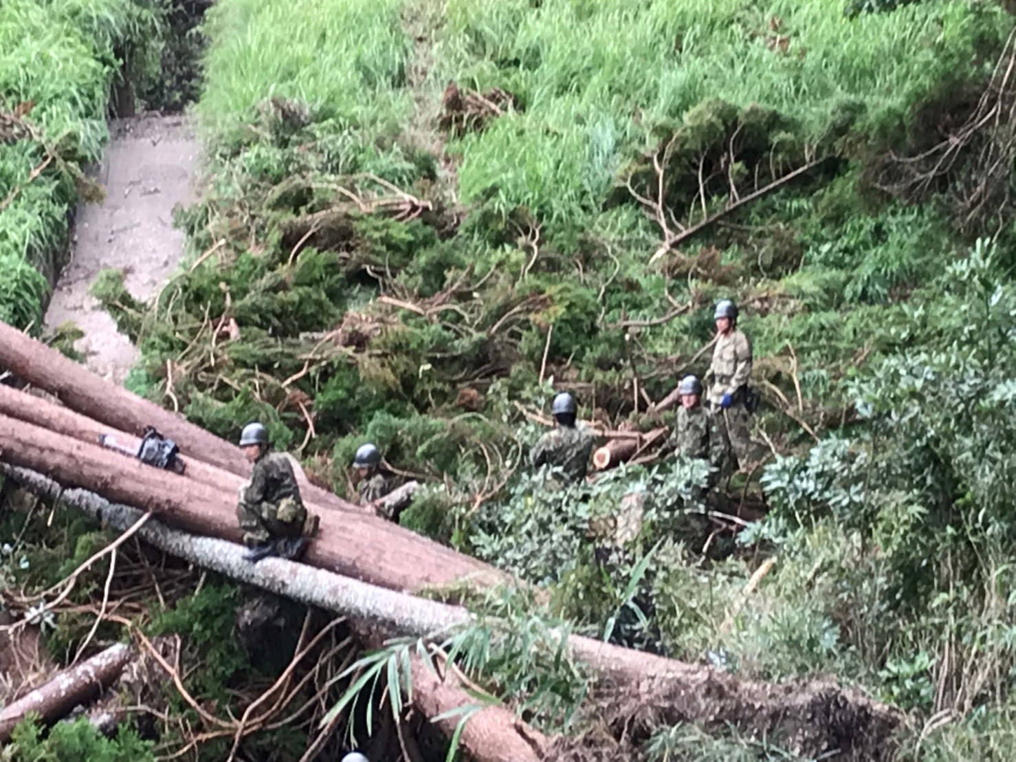 写真）台風15号による倒木などを処理する陸上自衛隊：千葉県（2019年9月22日）