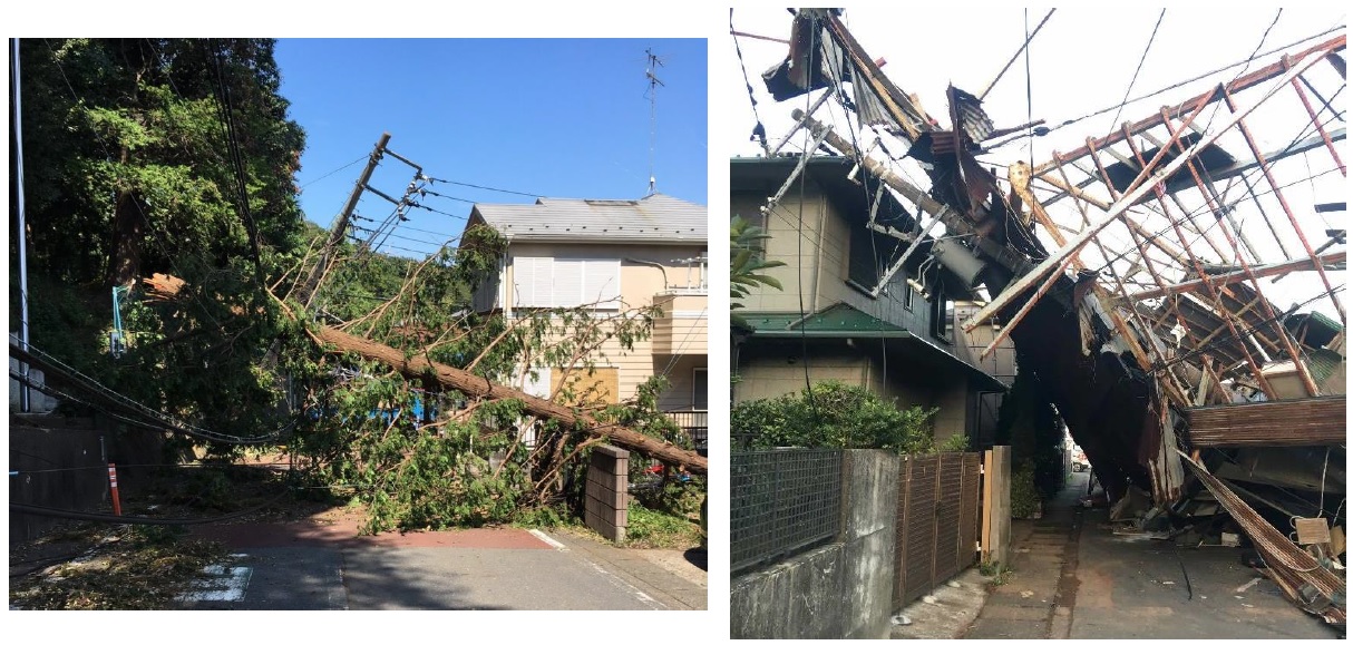 画像）台風15号「実際の被害の写真。なぎ倒された電柱（左）、電柱にかぶさる倒壊した家屋（右）」
