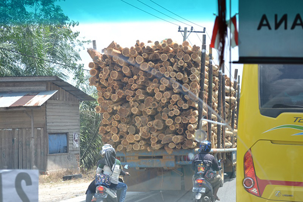 写真2：主要街道をひっきりなしに走る伐採された木材を運ぶトラック