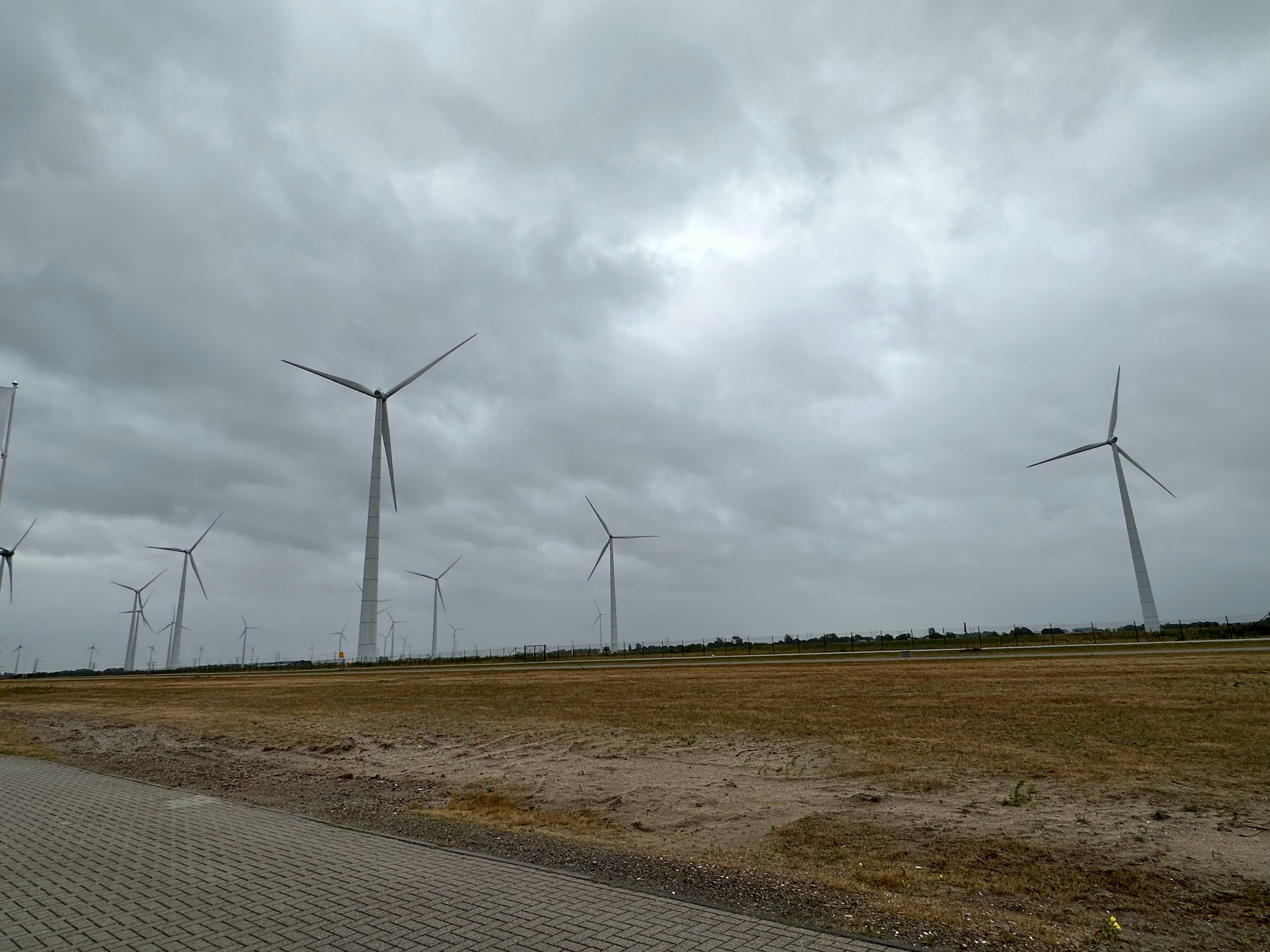 写真）エームスハーフェン港の風力発電設備