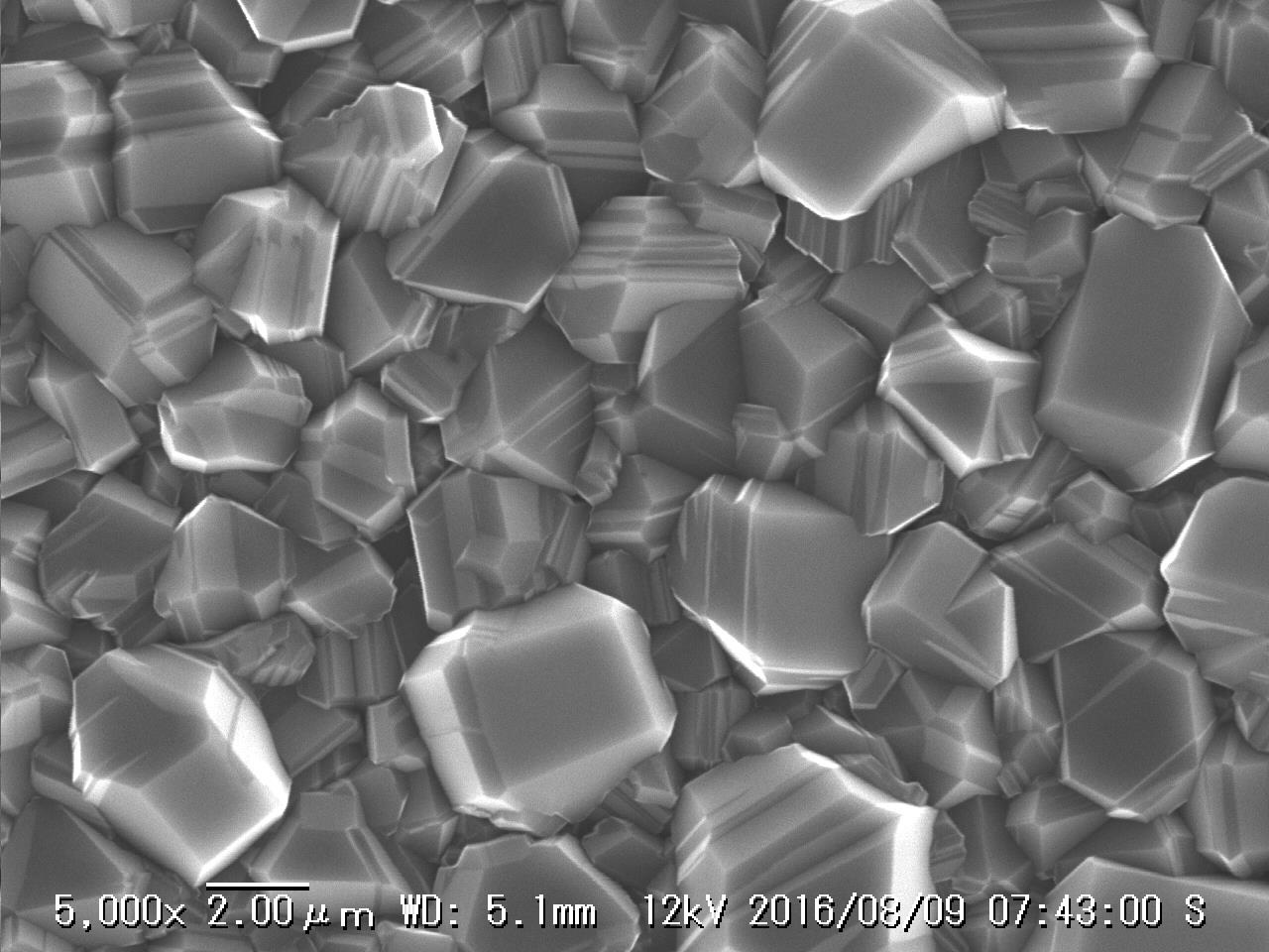 写真）ダイヤモンド成膜の顕微鏡写真