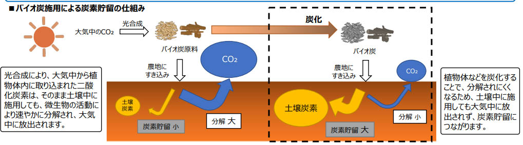 図）バイオ炭施用による炭素貯留の仕組み
