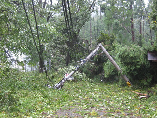 写真1：台風21号で倒壊した電柱