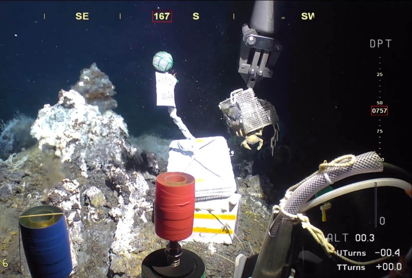 写真）無人探査機「KM-ROV」第226潜航。マニュピレータ（ロボットアーム）で藻のシートを入れた籠を回収している様子 2023年6月27日 東青ヶ島の海域