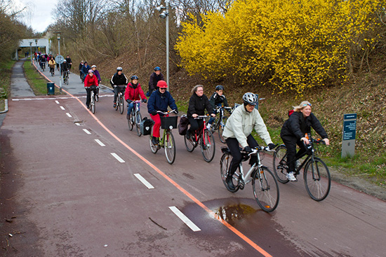 写真4：デンマークの自転車ハイウェイ