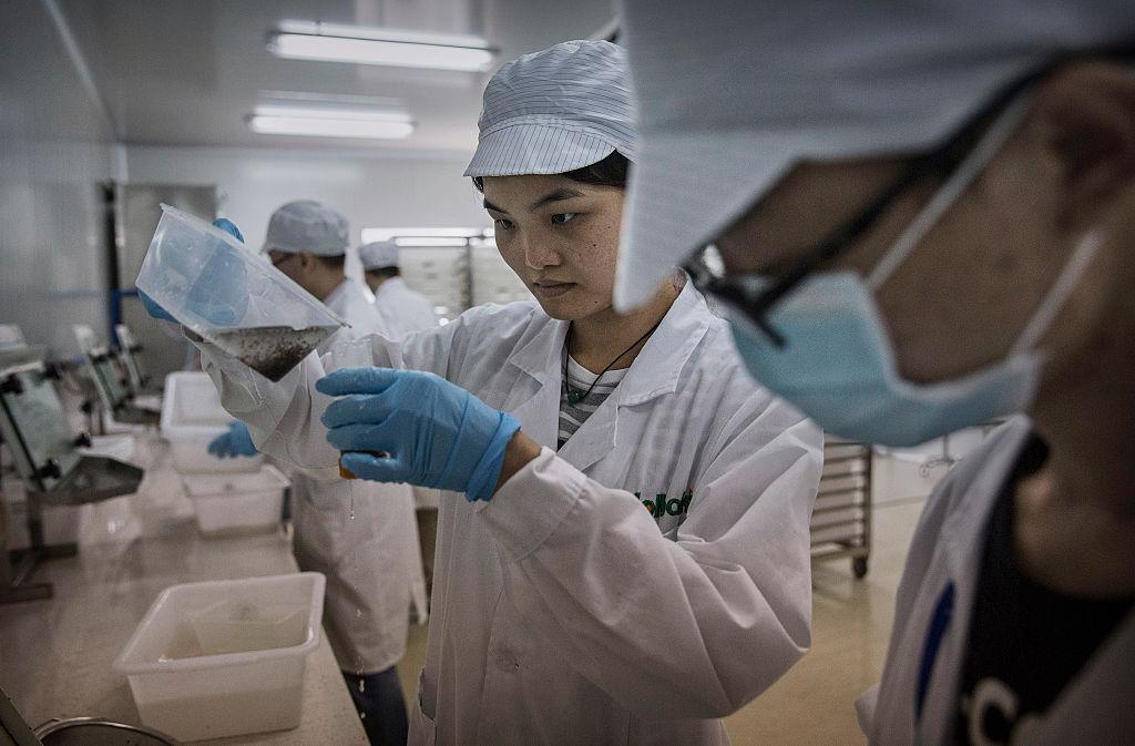 写真）蚊の培養をおこなう孫文大学・ミシガン大学共同熱帯病ベクター制御センター。ボルバキアに感染した数百万匹のオスの蚊を飼育している。2016年6月21日に中国・広州