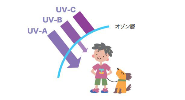 紫外線の波長と領域