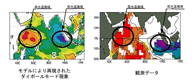 写真）大気海洋結合モデルにより、再現されたダイポールモード現象と観測データとの比較