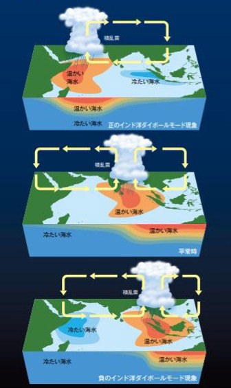 図）インド洋ダイポールモード現象（上：正の現象、真ん中：平常時、下：負の現象）