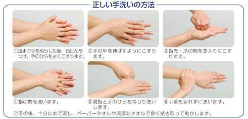 図）正しい手の洗い方